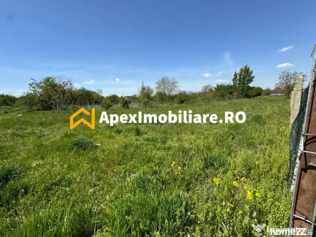 Teren intravilan de vanzare Cornetu IF | ApexImobiliare.ro - Cornetu (Bucuresti-Ilfov)