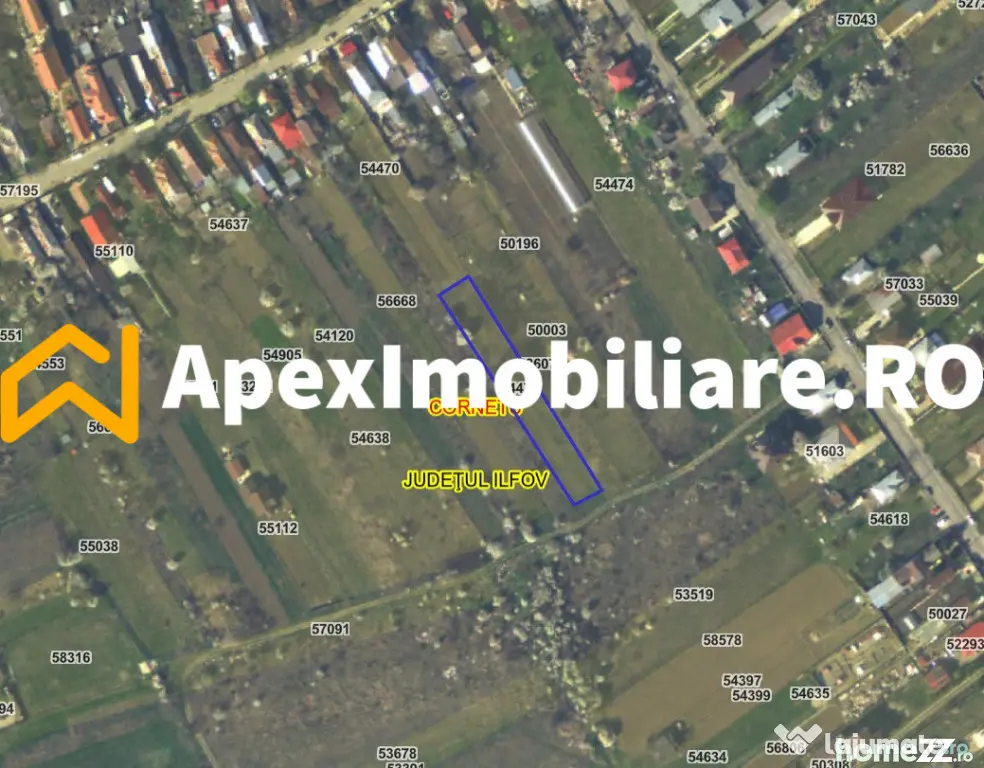Teren intravilan de vanzare Cornetu IF | ApexImobiliare.ro - Cornetu (Bucuresti-Ilfov)