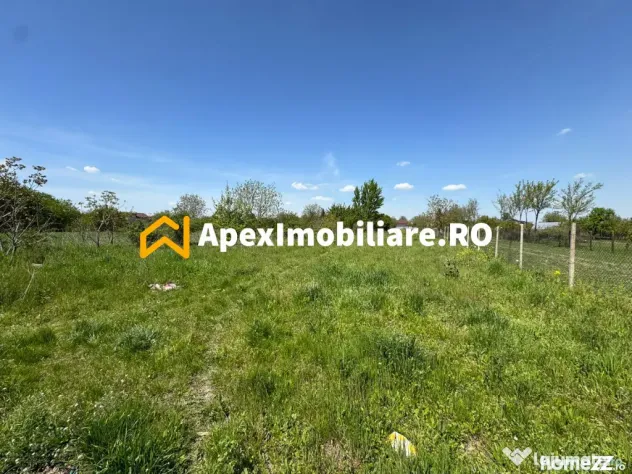 Teren intravilan de vanzare Cornetu IF | ApexImobiliare.ro - Cornetu (Bucuresti-Ilfov)