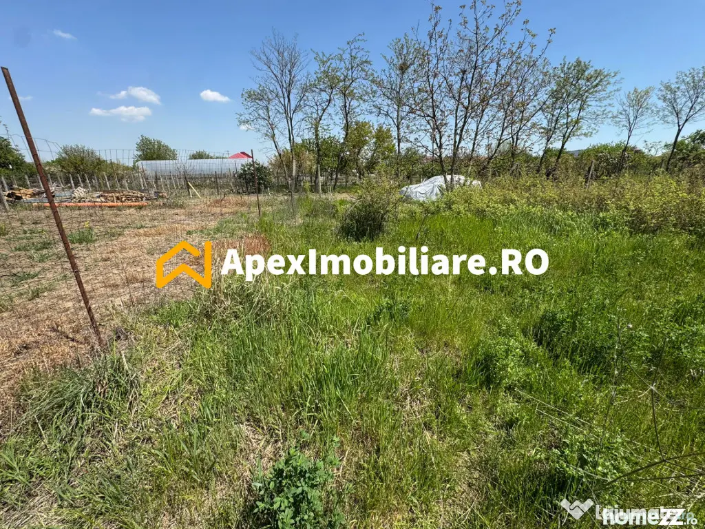 Teren intravilan de vanzare Cornetu IF | ApexImobiliare.ro - Cornetu (Bucuresti-Ilfov)
