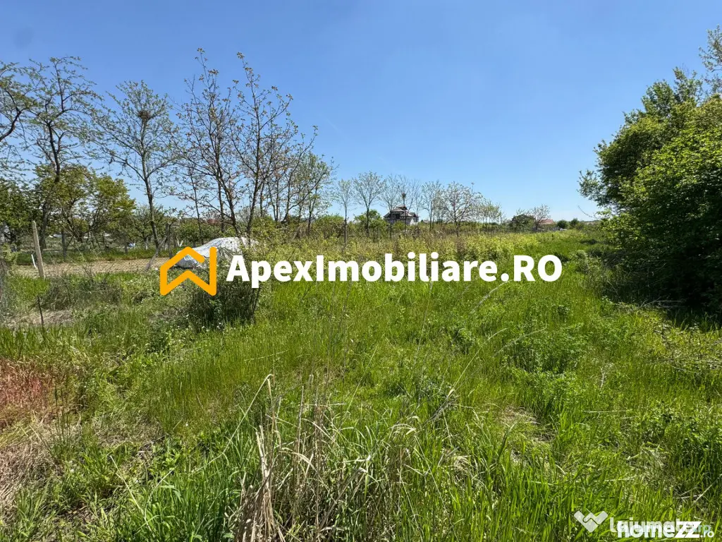 Teren intravilan de vanzare Cornetu IF | ApexImobiliare.ro - Cornetu (Bucuresti-Ilfov)
