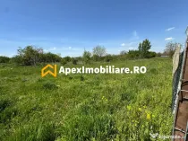 Teren intravilan de vanzare Cornetu IF | ApexImobiliare.ro