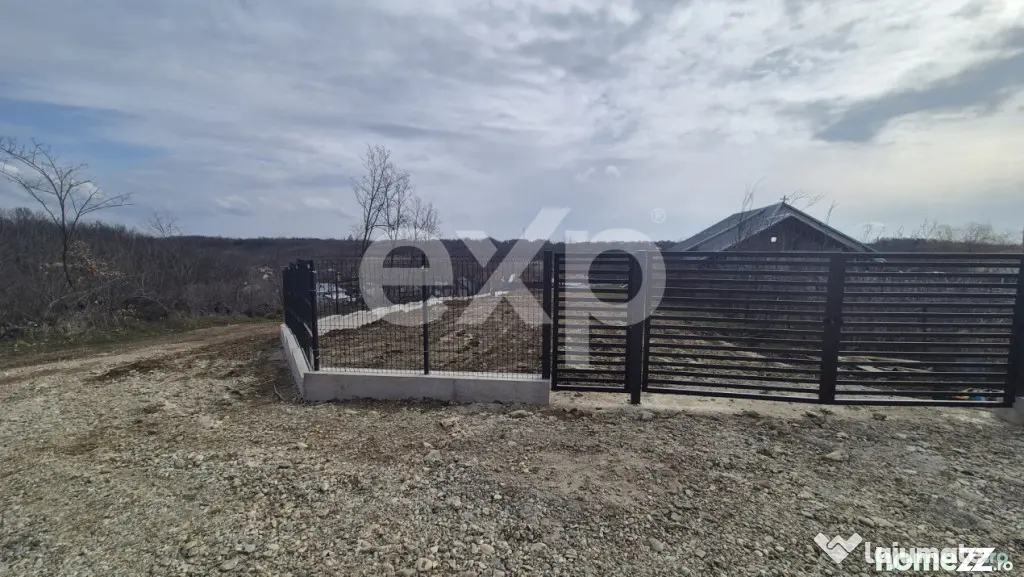 Teren 1.500 mp lângă pădure, Albota – liniște, natură