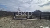 Teren 1.500 mp lângă pădure, Albota – liniște, natură 