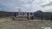 Teren 1.500 mp lângă pădure, Albota – liniște, natură