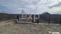 Teren 1.500 mp lângă pădure, Albota – liniște, natură