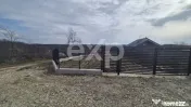 Teren 1.500 mp lângă pădure, Albota – liniște, natură 