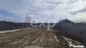 Teren 1.500 mp lângă pădure, Albota – liniște, natură 
