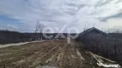 Teren 1.500 mp lângă pădure, Albota – liniște, natură 