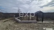 Teren 1.500 mp lângă pădure, Albota – liniște, natură 