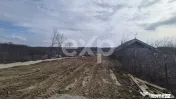 Teren 1.500 mp lângă pădure, Albota – liniște, natură 