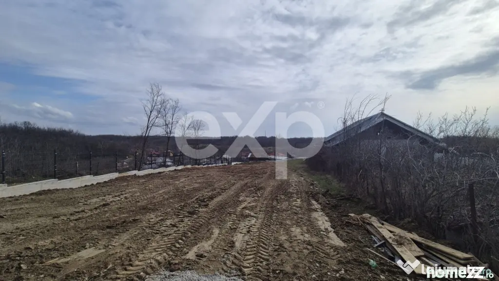 Teren 1.500 mp lângă pădure, Albota – liniște, natură