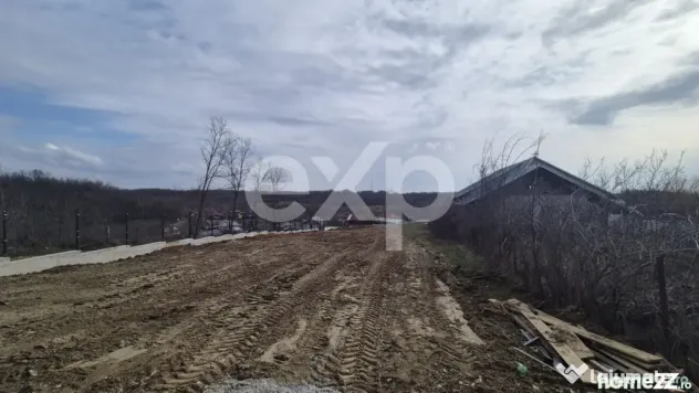Teren 1.500 mp lângă pădure, Albota – liniște, natură