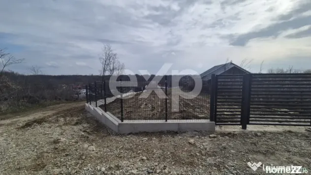 Teren 1.500 mp lângă pădure, Albota – liniște, natură