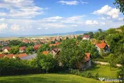 Pe domeniu de 1.750mp, rezidenta in Central, Sacele, Brasov 