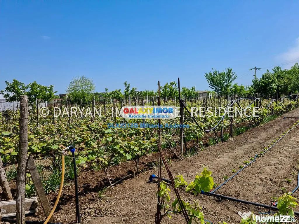 Teren in Poienari Apostoli, 21 E/mp, Avantajos, DN1, 34.500