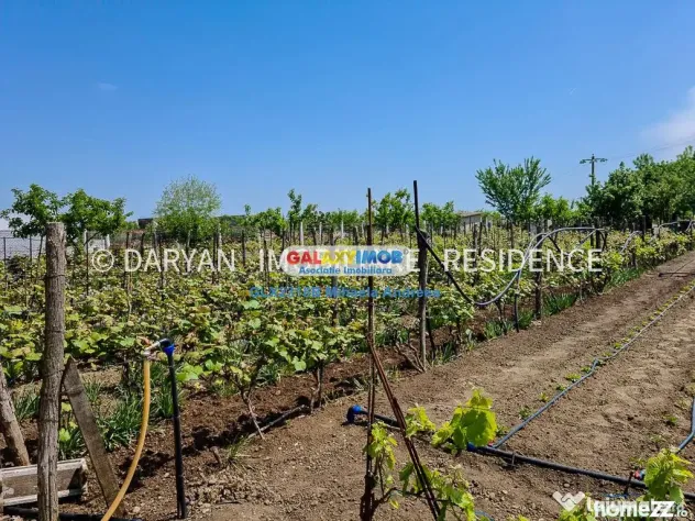 Teren in Poienari Apostoli, 21 E/mp, Avantajos, DN1, 34.500