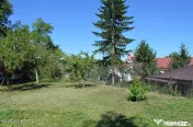 Curtea de Arges - Ultracentral - Casa autentica 180 mp, T... 