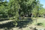 Curtea de Arges - Ultracentral - Casa autentica 180 mp, T...