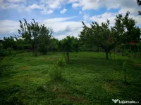 Teren Siminoc 800m2 