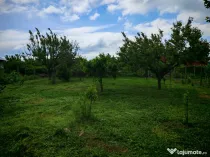 Teren Siminoc 800m2