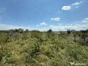 Casa P+E, 110 mp utili, 700 mp teren, zona Sat Jiului