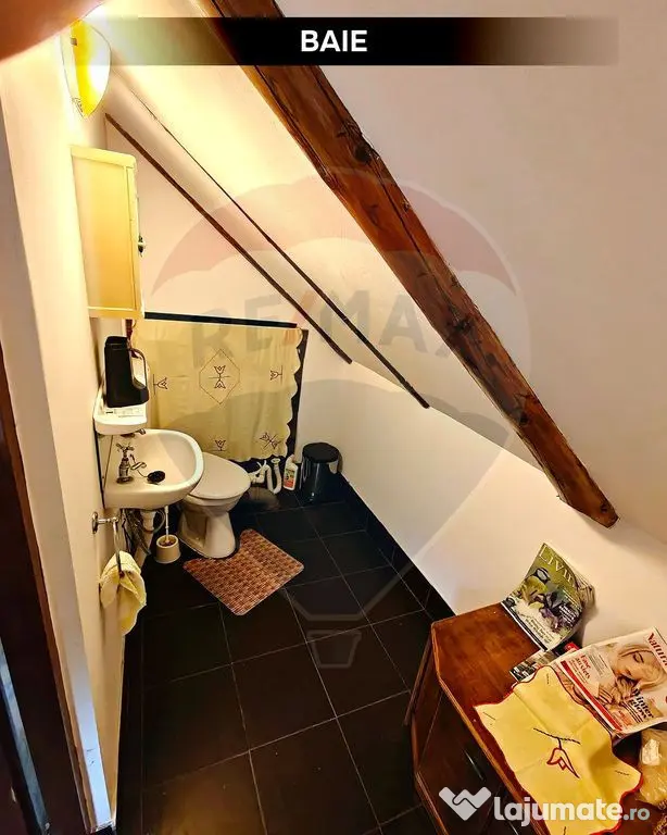 Cabană de vacanță în Băiuț, Maramureș | Natură, l...