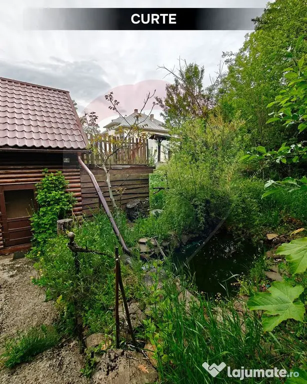 Cabană de vacanță în Băiuț, Maramureș | Natură, l...