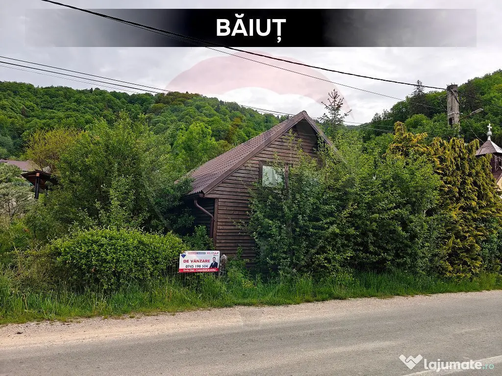 Cabană de vacanță în Băiuț, Maramureș | Natură, l...