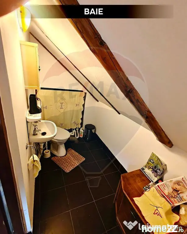 Cabană de vacanță în Băiuț, Maramureș | Natură, l...