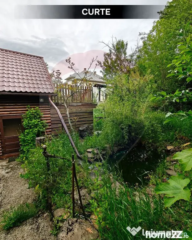 Cabană de vacanță în Băiuț, Maramureș | Natură, l...