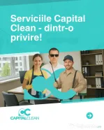 Soluții pentru eliminarea ploșnițelor de pat - Capital Clean Group