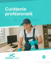 Soluții pentru eliminarea ploșnițelor de pat - Capital Clean Group 