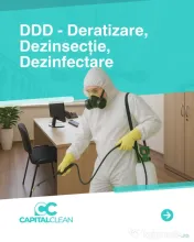 Soluții pentru eliminarea ploșnițelor de pat - Capital Clean Group 