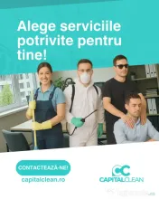Soluții pentru eliminarea ploșnițelor de pat - Capital Clean Group 