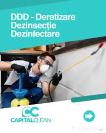 Soluții pentru eliminarea ploșnițelor de pat - Capital Clean Group