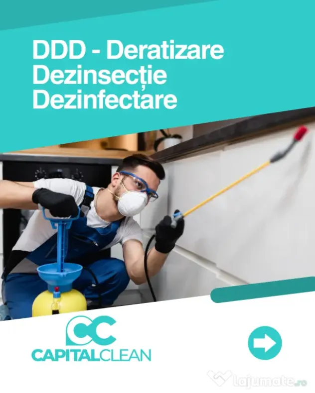 Soluții pentru eliminarea ploșnițelor de pat - Capital Clean Group