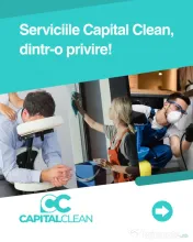Soluții pentru eliminarea ploșnițelor de pat - Capital Clean Group 