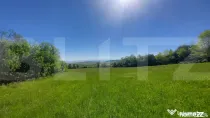 Investiție – 3,6 ha Glamping, Pensiune sau Centru Ecvestr