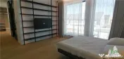 Vila deosebita de 