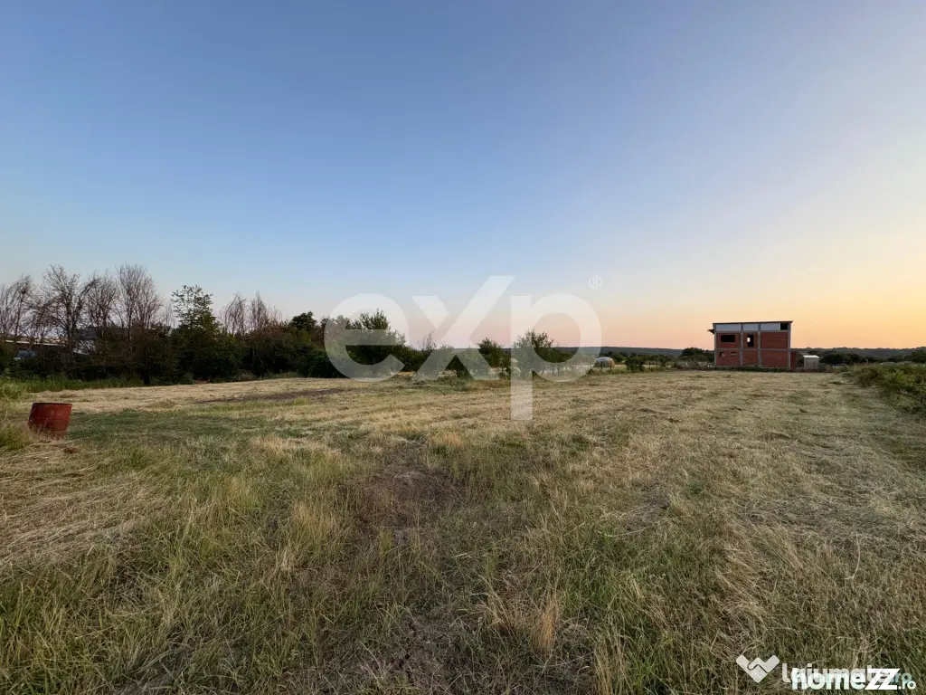 Teren 1650 mp intravilan Trivale - Olteni – cadru natural