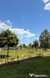 GARSONIERA | PRIMUL CHIRIAS | VEDERE LA MARE