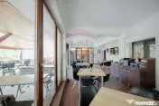 Pensiune cu 6 camere și restaurant de vânzare în Șunc... 