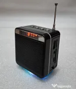 Mini boxă portabilă cu radio FM, WSTER WS-918