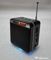 Mini boxă portabilă cu radio FM, WSTER WS-918 