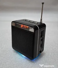 Mini boxă portabilă cu radio FM, WSTER WS-918 