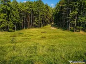 Incantator parc privat, 1.500mp: casa pensiune refugiu mon 