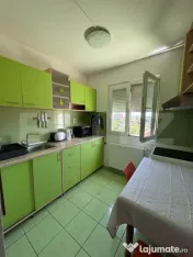 Apartament 2 camere, 56 mp, pet friendly, zona Gheorghe Laza 