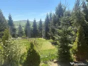 Cabana deosebită în Muntele Băișorii | 220 mp utili | 27 