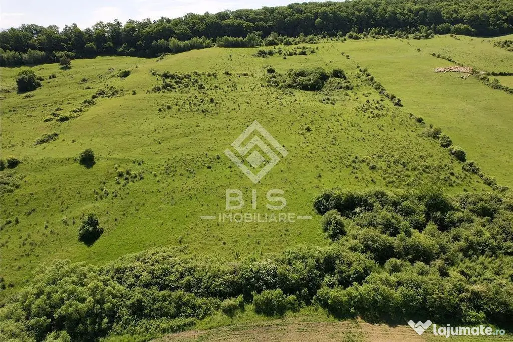 Teren Valea - Stanelor 21.600 mp